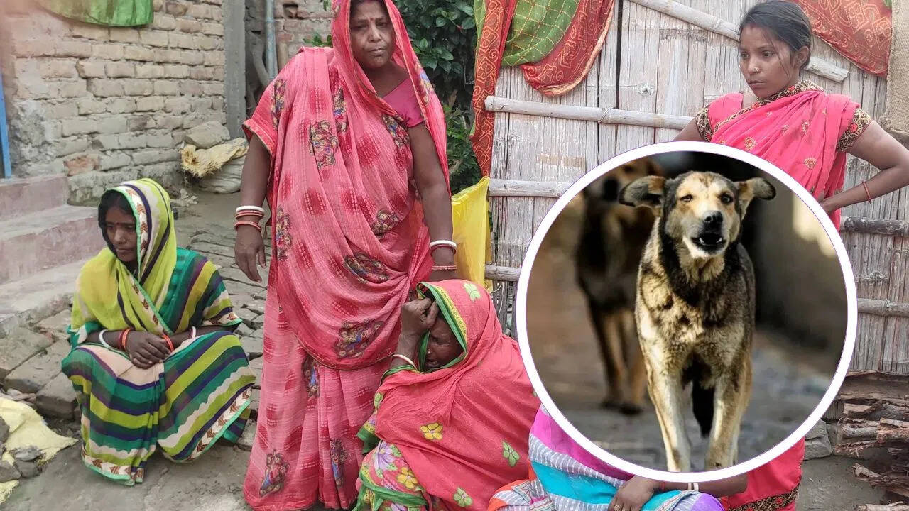 बिहार