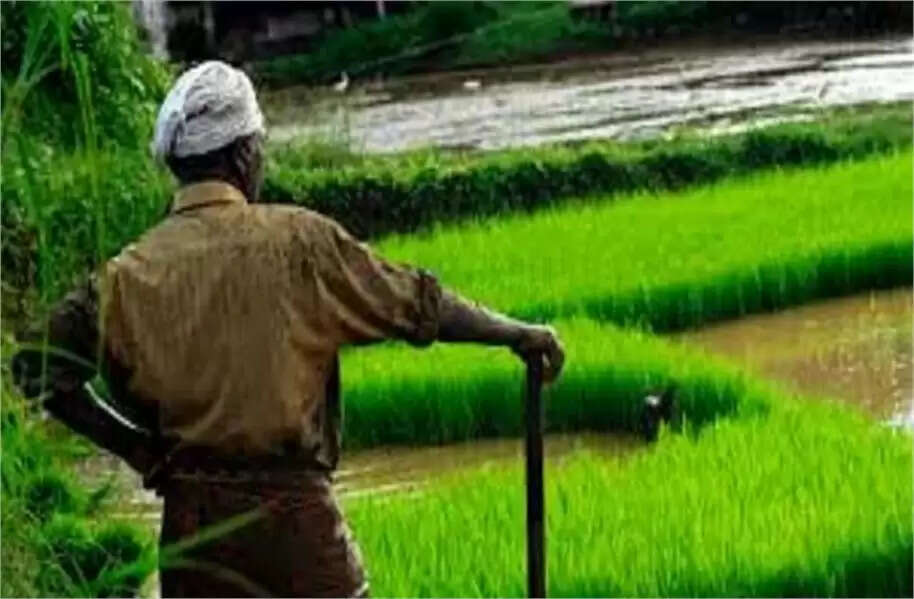 Haryana Farmers