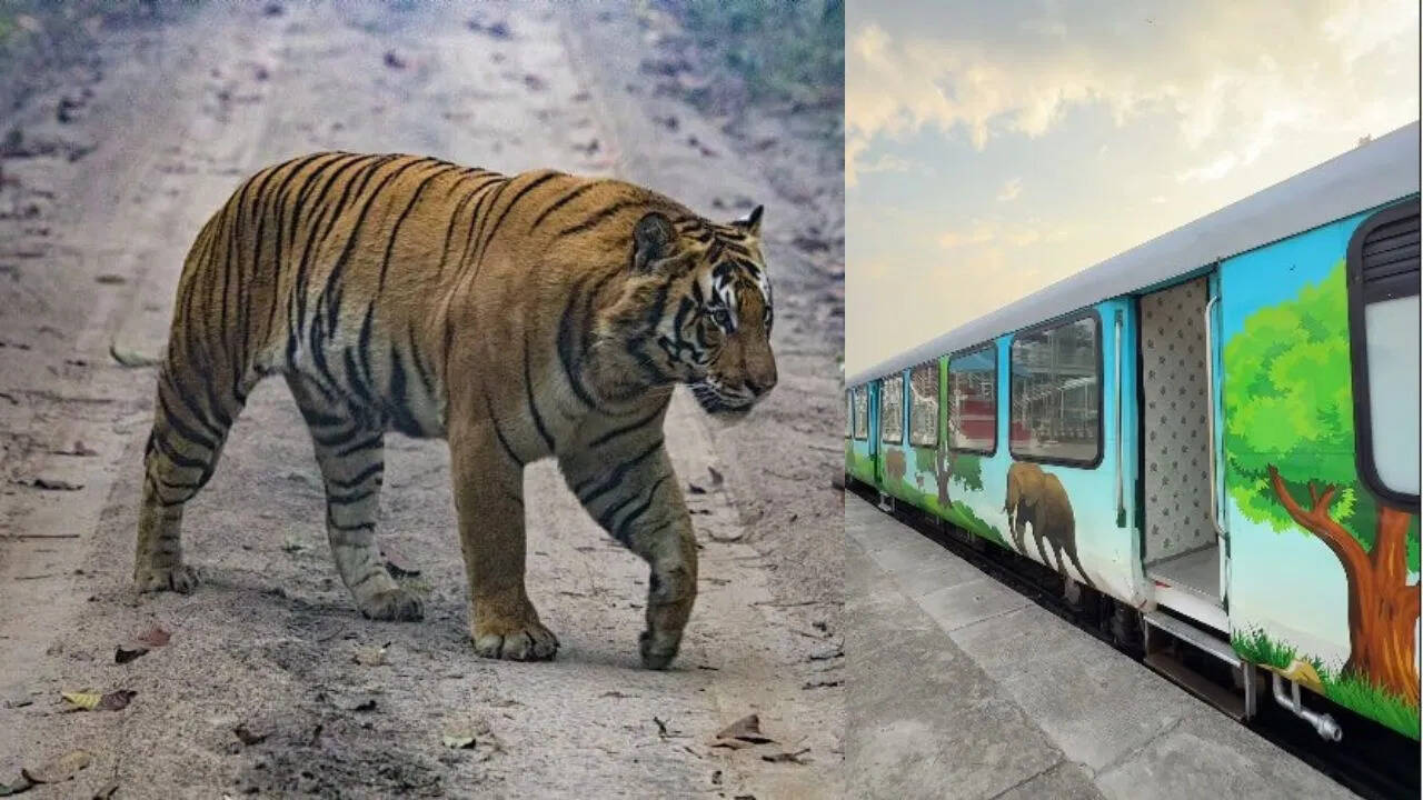 ट्रैवल डायरी