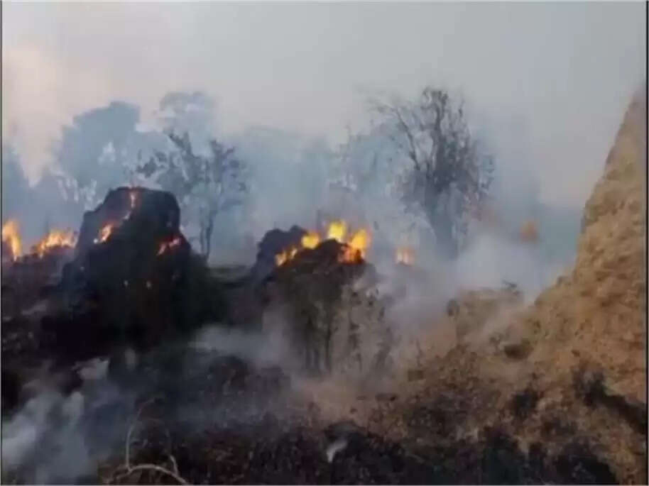  Fire engulfed animal fodder