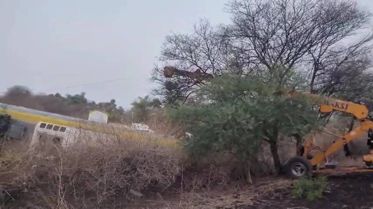 मध्य प्रदेश