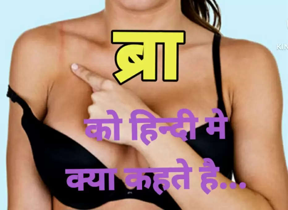 क्या है BRA का पूरा नाम? हिन्दी में ब्रा को क्या कहते हैं? जानिए लोगों ने  सोशल साइट पर दिए कैसे जवाब - what is the full form of bra what is
