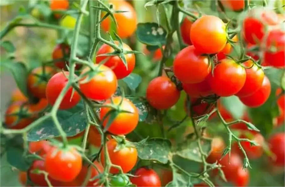 Farmers news