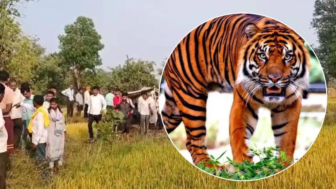 मध्य प्रदेश