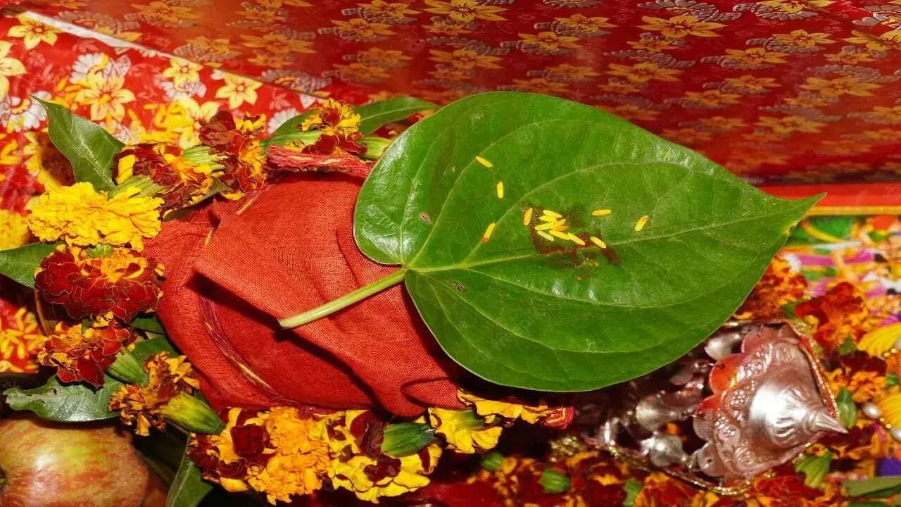पूजा-पाठ