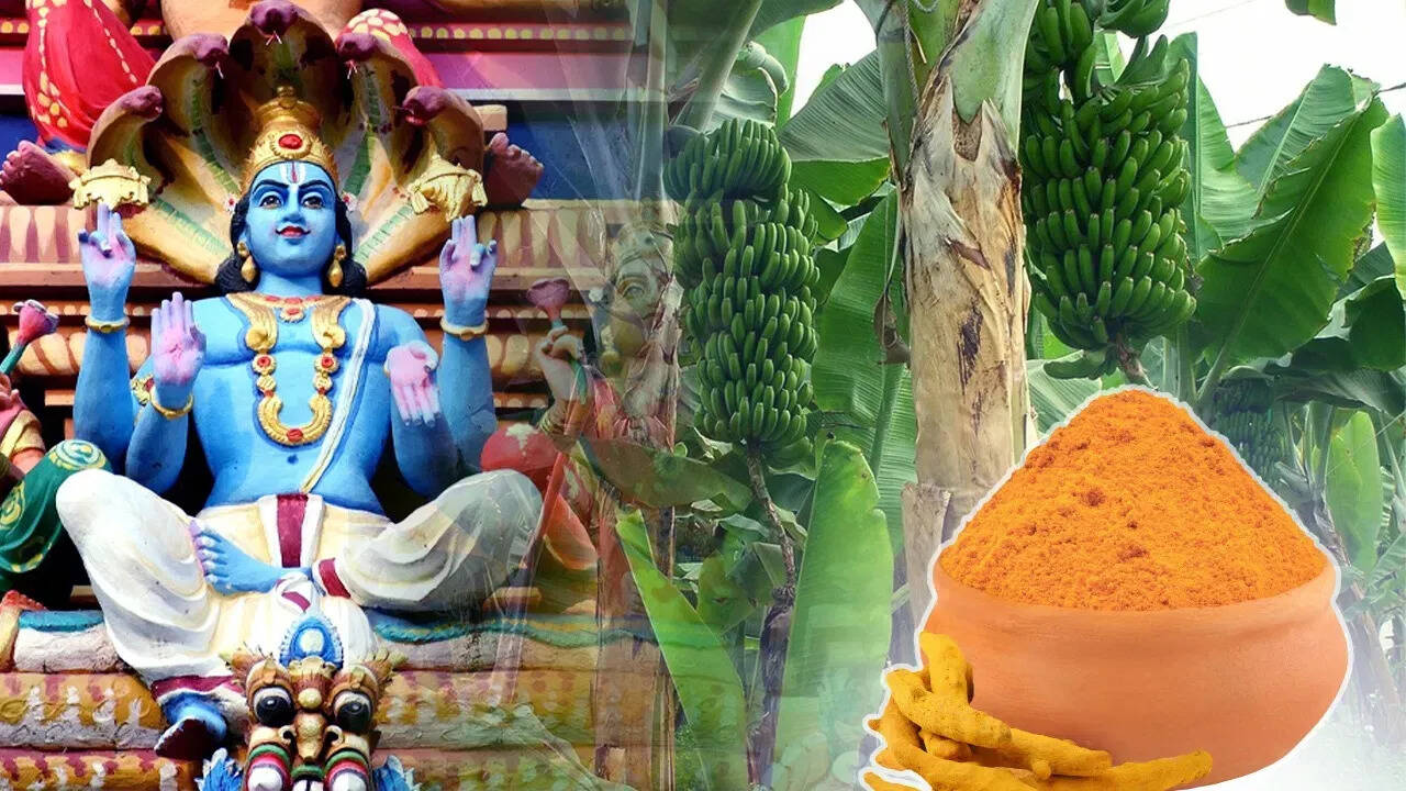 ज्योतिष