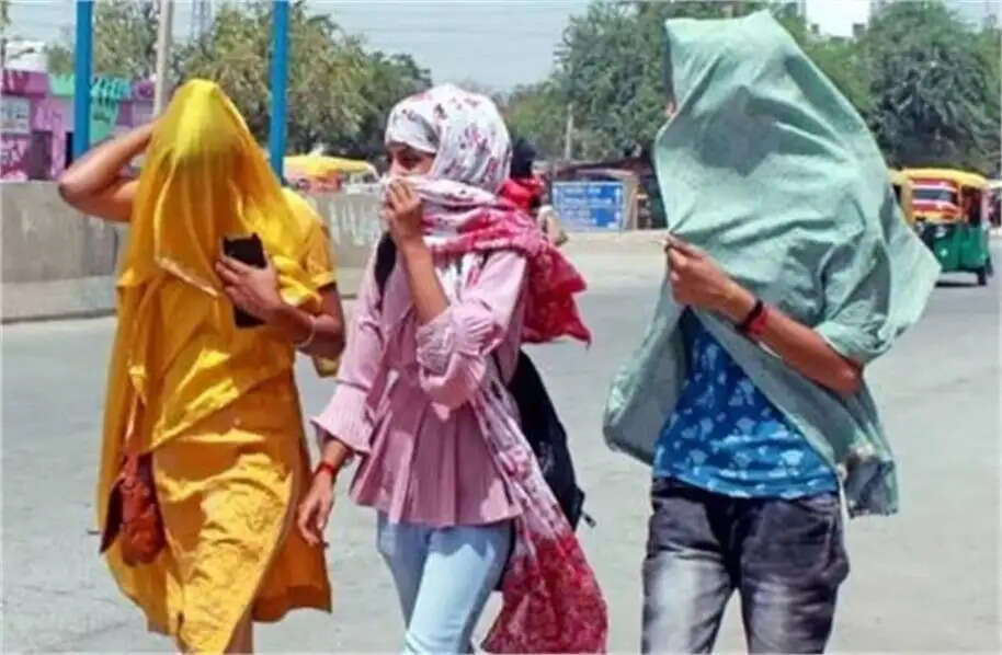 Haryana news