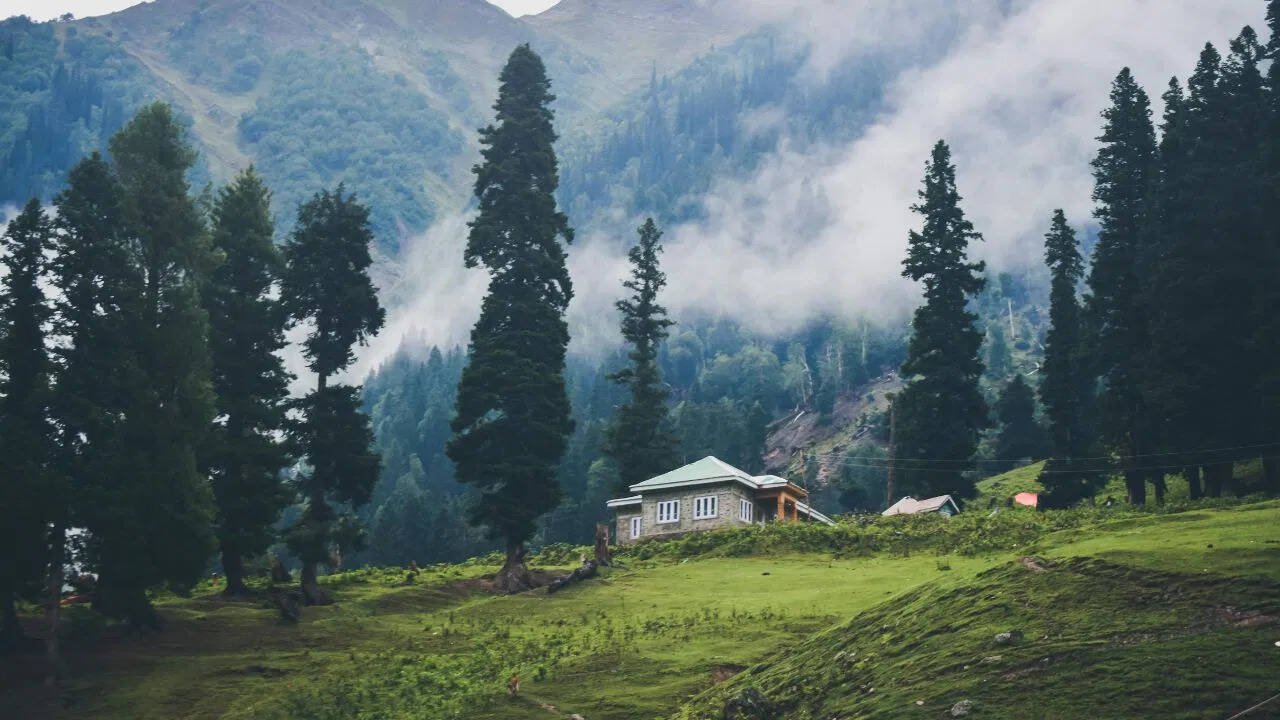 ट्रैवल डायरी