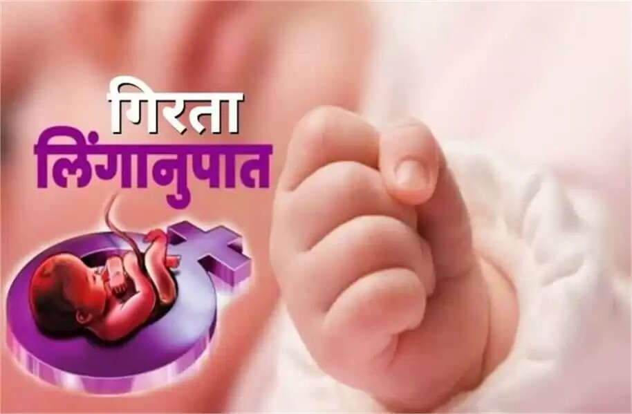 Haryana News